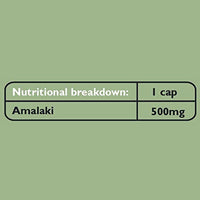 Fushi Organic Amalaki Capsules, 60 Caps | Fresh-Ground & Whole Food | Rich in Vitamin C | Natural Anti-inflammatory, Detoxifies the Body | Bio-dynamically Grown, Cold Processed, Vegan |Made in the UK