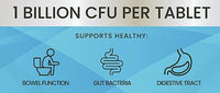 Acidophilus Lactobacillus Probiotic for Digestive & Gut Health, 1 Billion CFU per Tablet - 120 Vegan Tablets