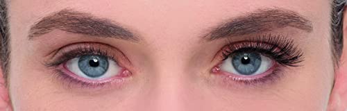 Eylure False Eyelashes Naturals No 017