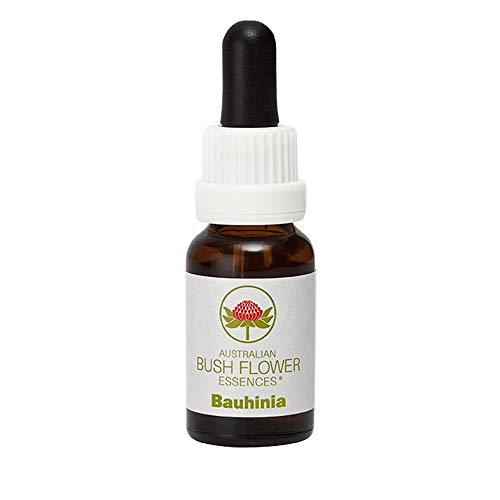 Bauhinia 15 ml Stockbottle Australian Bush Flower Essences