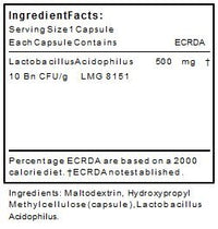 Lactobacillus Acidophilus, Lactobacillus - Pot of 90 Capsules Containing 500mg