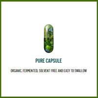 Living Nutrition Organic Your Flora Gold Spice (60 Caps) - Contains Organic Turmeric and Ginger - High in Antioxidants and Polyphenols