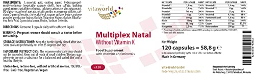 Vita World Multivitamin Without Vitamin K l 120 Capsules l Without Iodine and Without Vitamin K l Vegan