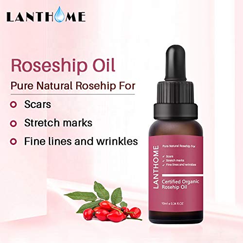THE ISMA Rosehip Oil for Face, Certified Organic Rosehip Oil, use of Scars, Stretch Marks, Fine lines adn Wrinkes, 10ml