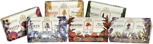 Nesti Dante Dei Colli Fiorentini Cypress Tree Soap, 250g