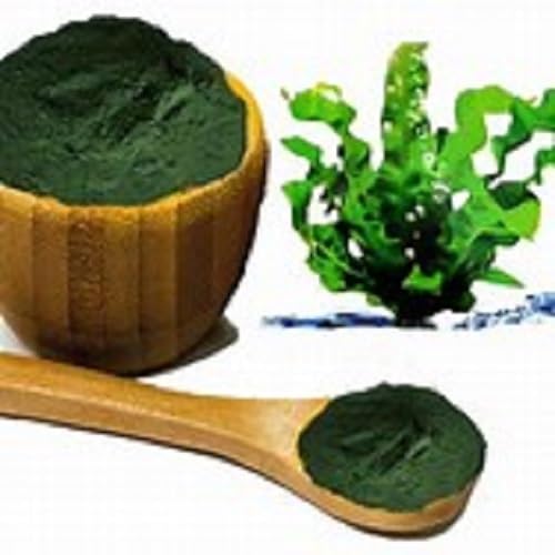 Generic Organic Spirulina 500mg โ 60 Natural Vegan Capsules