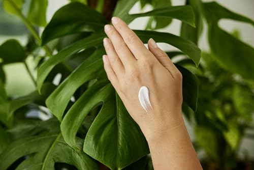 WELEDA Weleda Hand Cream with Almond, 50ml
