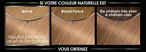 Garnier - Olia - Coloration Permanente à l’Huile Sans Ammoniaque Blond - 8.31 Blond Doré Cendré