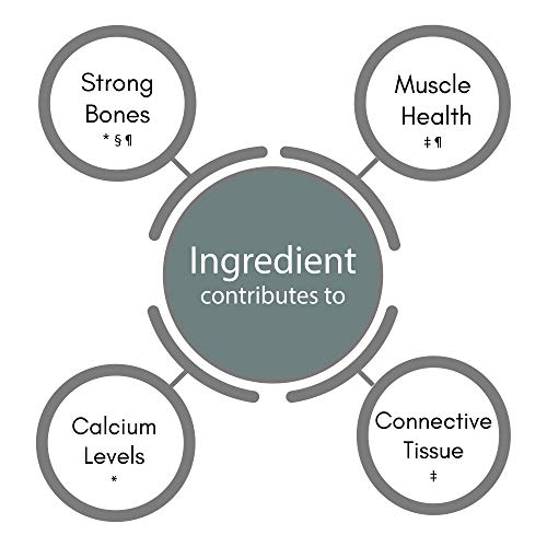 SynBio Premium+ - Osteo Health - Bone and Muscle Support | 60 Vegetarian Capsules | Made in The UK | Vitamin D3 | Vitamin K2 | Magnesium | Calcium