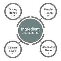 SynBio Premium+ - Osteo Health - Bone and Muscle Support | 60 Vegetarian Capsules | Made in The UK | Vitamin D3 | Vitamin K2 | Magnesium | Calcium