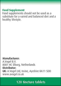 A.Vogel Ginkgo Biloba Tablets | Food Supplement | Extract from Fresh Ginkgo biloba Leaves | Suitable for Vegetarians | 30 Days Supply | 120 Tablets