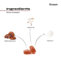 Reishi 1000mg Mushroom Gummies by Known Nutrition | Natural Immune Support | Delicious Natural Cranberry Flavour | 60 Two-a-Day Vegan Gummies (One Month’s Supply)