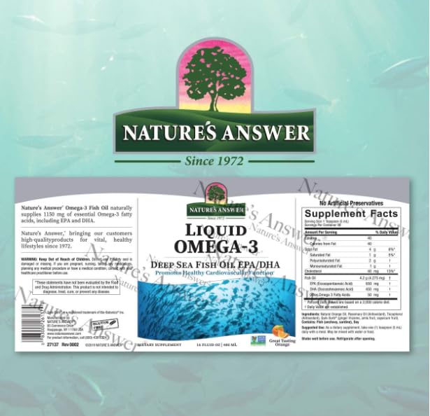 Generic Liquid Omega 3, Great Tasting Orange, 480 ML