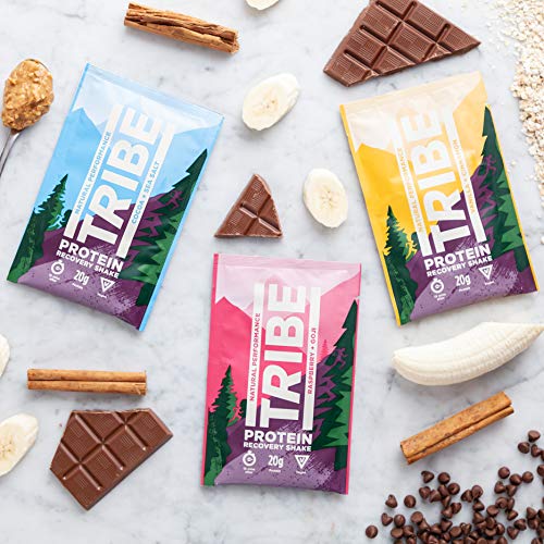 TRIBE Vegan Protein Powder - Vanilla + Cinnamon - Vegan, Gluten & Dairy Free (500g / 12 Servings)