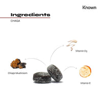 Chaga 1000mg Mushroom Gummies by Known Nutrition | Natural Antioxidant Support for Immune System | Delicious Natural Blackcurrant Flavour | 60 Two-a-Day Vegan Gummies (One Month’s Supply)