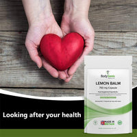 Bodygenix Lemon Balm Capsules - 750mg Melissa Restful Sleep Enhanced Mood Stress Relief PMS Support Antioxidant Natural Supplement - 120 Capsules 4 Month Supply