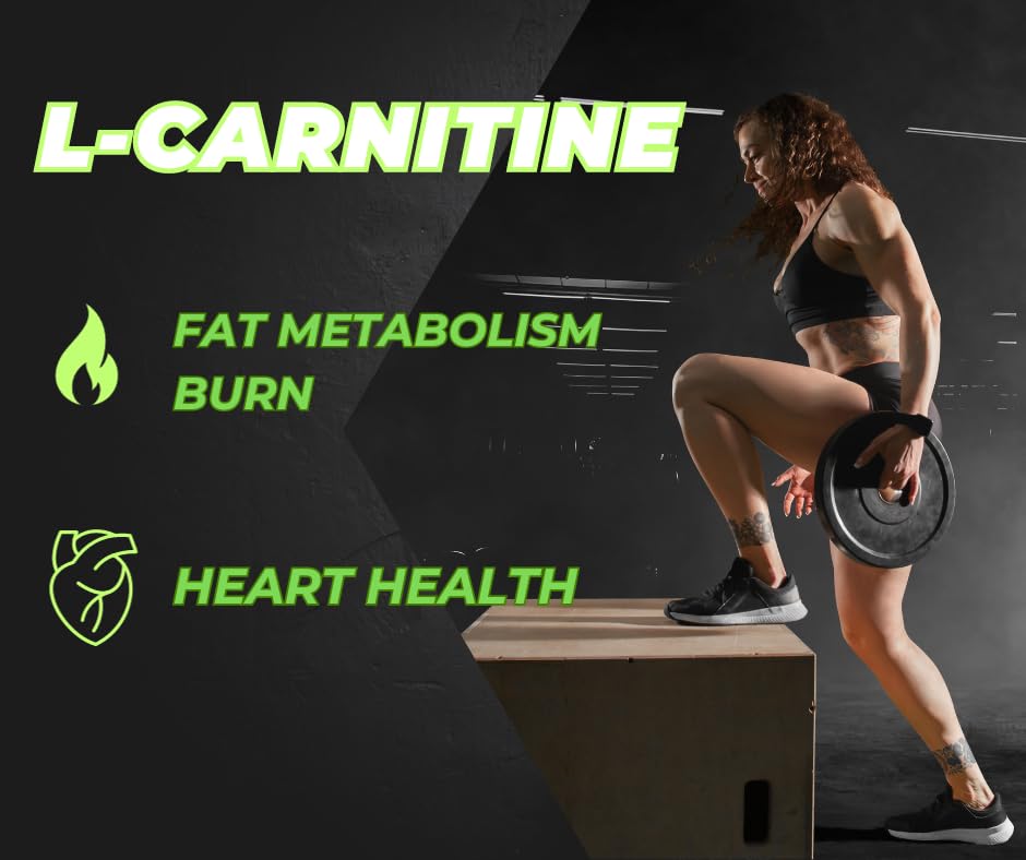 PROFUEL Creatine, L-Carnitine & Cordyceps Powder - 240g - Increase Strength & Performance - Gym Supplement for Men & Women