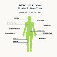 Greens Powder by Nuzest – Good Green Vitality – Filled with Vitamins, Minerals & Superfoods – Vegan Multivitamin Greens Drink - Gluten Free - Dairy Free - (10g (Box of 5))