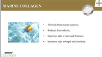 NovaClear Collagen REVITALIZING Facial Toner - Active Gold, Marine Collagen and Caviar Infused Toner for Moisturized and Rejuvenated Skin