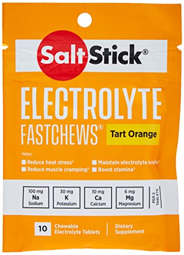 SaltStick Saltstick Fastchews - Pack of 10 Chewable Electrolytes - Tart Orange