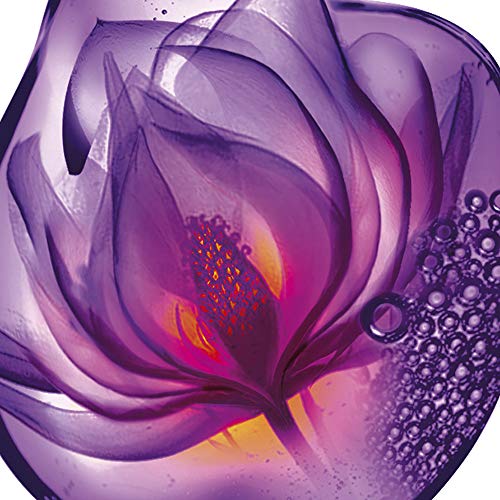 GLISS LISO ASIATICO champú 370 ml