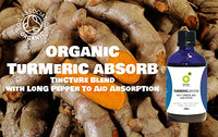 Organic Herbal Remedies 100 ml Turmeric Tincture