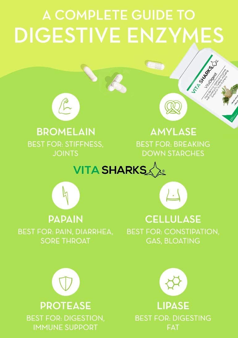 Vita Sharks VitaDigest Vegan 90 Capsules. Natural Gut Soothing Digestive Enzymes, Curcumin & Turmeric; for Gut Cleansing, Immunity & to Combat Bloating, Bowel & Digestion Issues
