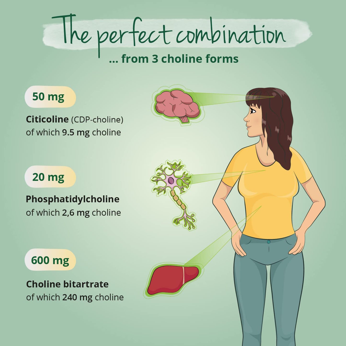 Choline Complex Vegavero® | 3 Forms: Bitartrate, CDP & Phosphatidyl | NO Additives, Lab-Tested | 90 Capsules | Vegan