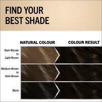 Schwarzkopf Oleo Intense Permanent Oil Colour 2-10 Black Brown Hair Dye, 100% Grey Coverage, Conditioner with HaptIQ System, Long-Lasting Colour, Ammonia Free Hair Dye