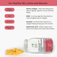 Advanced Marine Collagen Support, specifically Designed to Support Skin, Joints, tendons, ligaments and Muscles