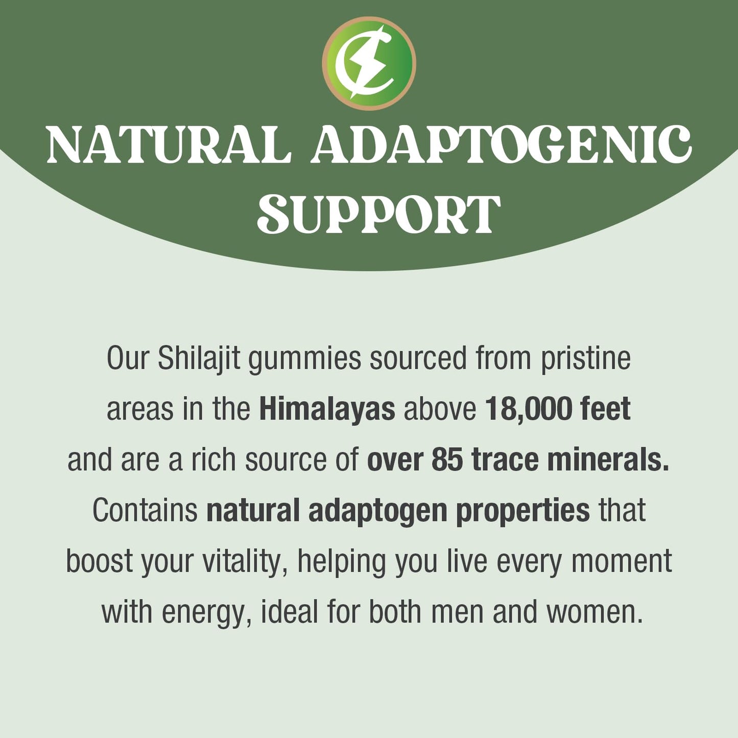 Cheroline Shilajit Gummies 1400mg, Pure Himalayan Shilajit with Chaga and Ashwagandha, 85+ Trace Minerals, Rich in Fulvic Acid, for Energy & Immune, Authentic Flavor, Sugar-Free, Vegan (60 Count (Pack of 2))