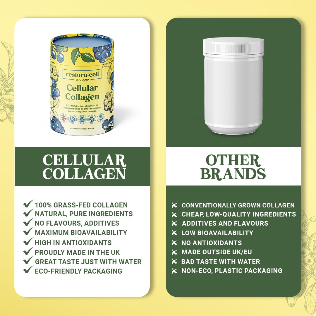 restora:cell Blueberry Cellular Collagen Powder Supplement 100% Natural Grass-fed Bovine Collagen Peptides with Vitamin C - 200 mg CoQ-10-20 Billion CFU Probiotic Blend - Paleo & Keto - 250g