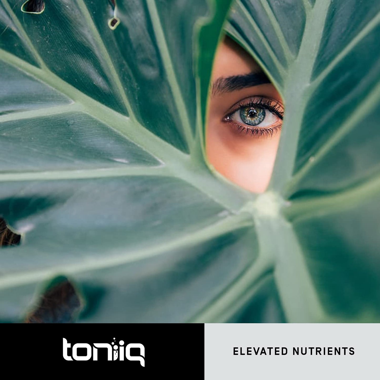Toniiq Resveratrol Supplement Capsules - Ultra High 98%+ Pure Trans Resveratrol - Bioavailable with Superior Purity - 60 Count Lab Tested
