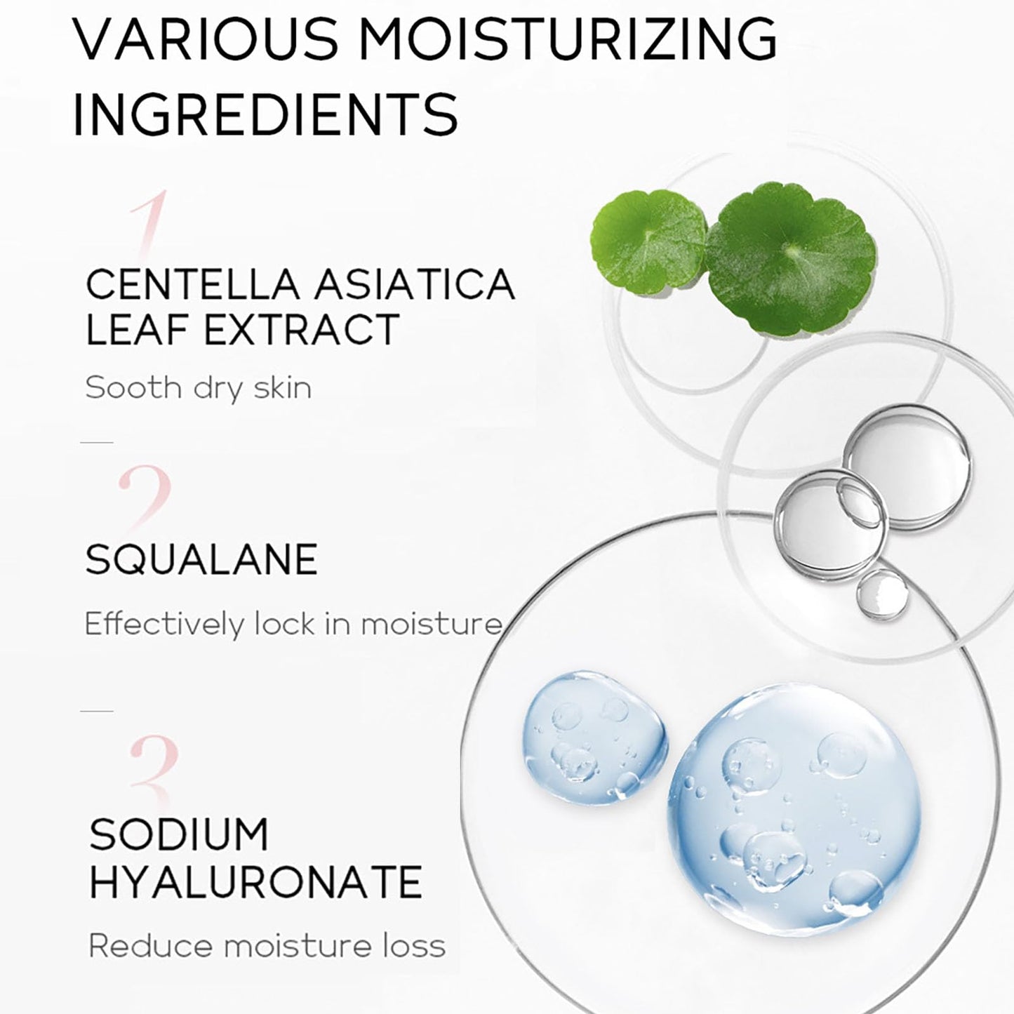 ISBEAUSOLS Niacinamide Daily Sun Screen SPF 50+