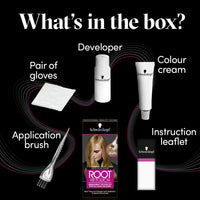 Schwarzkopf Root Retouch Permanent Root Concealer Blonde Hair Dye, Ideal for Touching Up Grey Root Regrowth, Ammonia Free, Medium Blonde