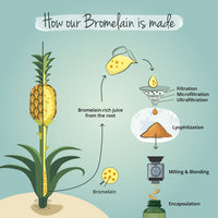 Bromelain 500mg Vegavero® | High Strength - 2400 GDU/g | Gastro-Resistant DrCaps® | NO Additives, Lab-Tested | Pure Pineapple Enzyme | 90 Capsules | Vegan