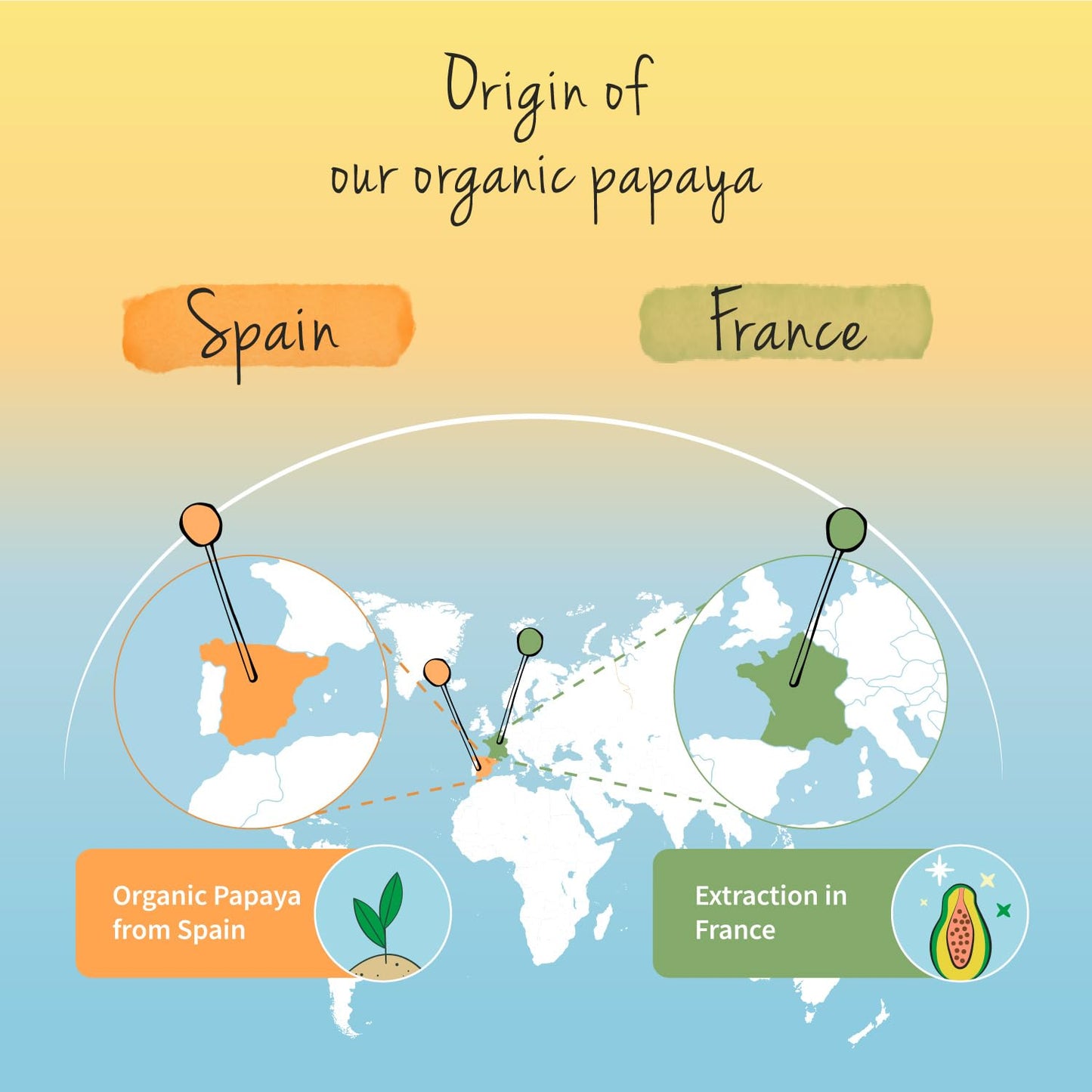 Organic Papaya Extract Vegavero® | 1400mg Carica Papata Fruit Extract | No Additives & Non-GMO | 120 Capsules | Vegan