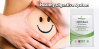 Bodygenix Lemon Balm Capsules - 750mg Melissa Restful Sleep Enhanced Mood Stress Relief PMS Support Antioxidant Natural Supplement - 120 Capsules 4 Month Supply