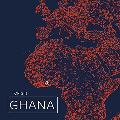 Naissance Organic Shea Butter (no. 306) 250g - Pure, Natural, Certified Organic, Unrefined, Hand Kneaded, Vegan and Fragrance Free