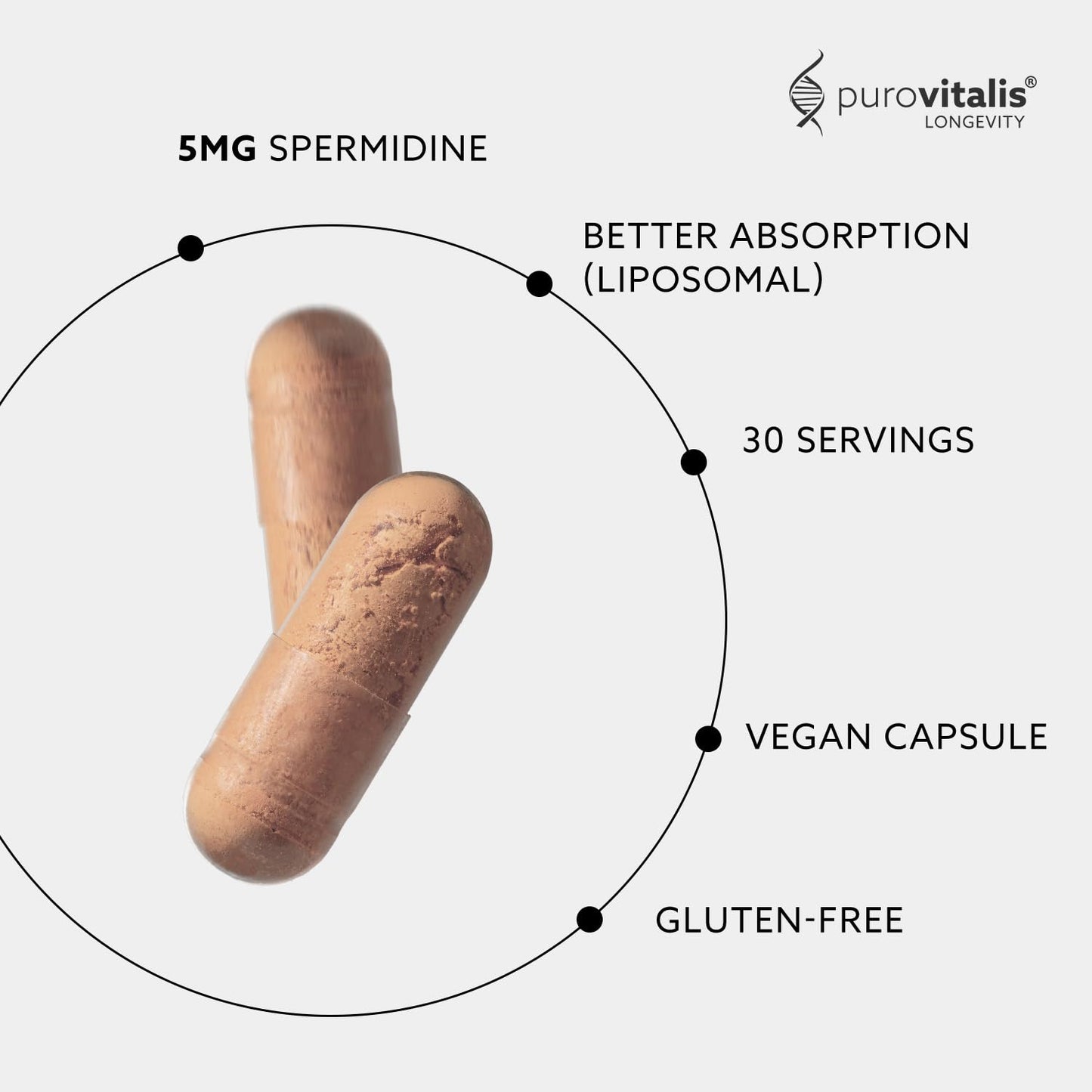 PUROVITALIS Spermidine Fusion 5mg, 30 Servings (30 Vegan Capsules), with Zinc, Vitamin D3 & B12, Anti-ageing Supplement