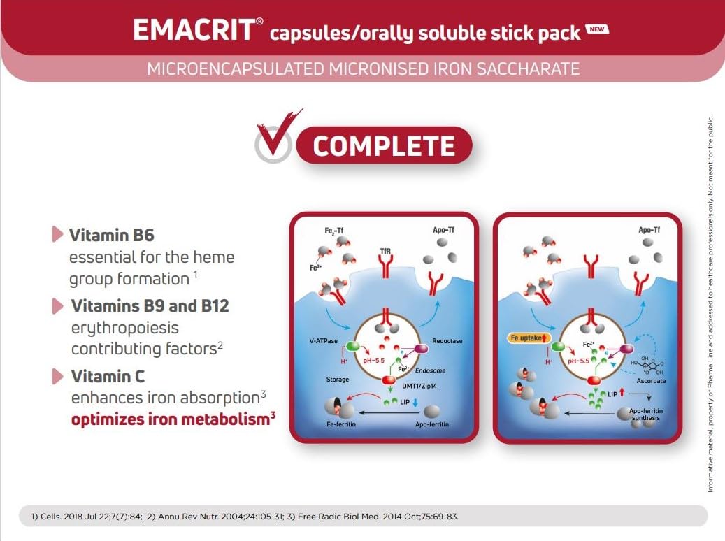 3 in 1 Multivitamin Supplement for Iron Deficiency (Anaemia), Improve Kidney Function & Support Immune System