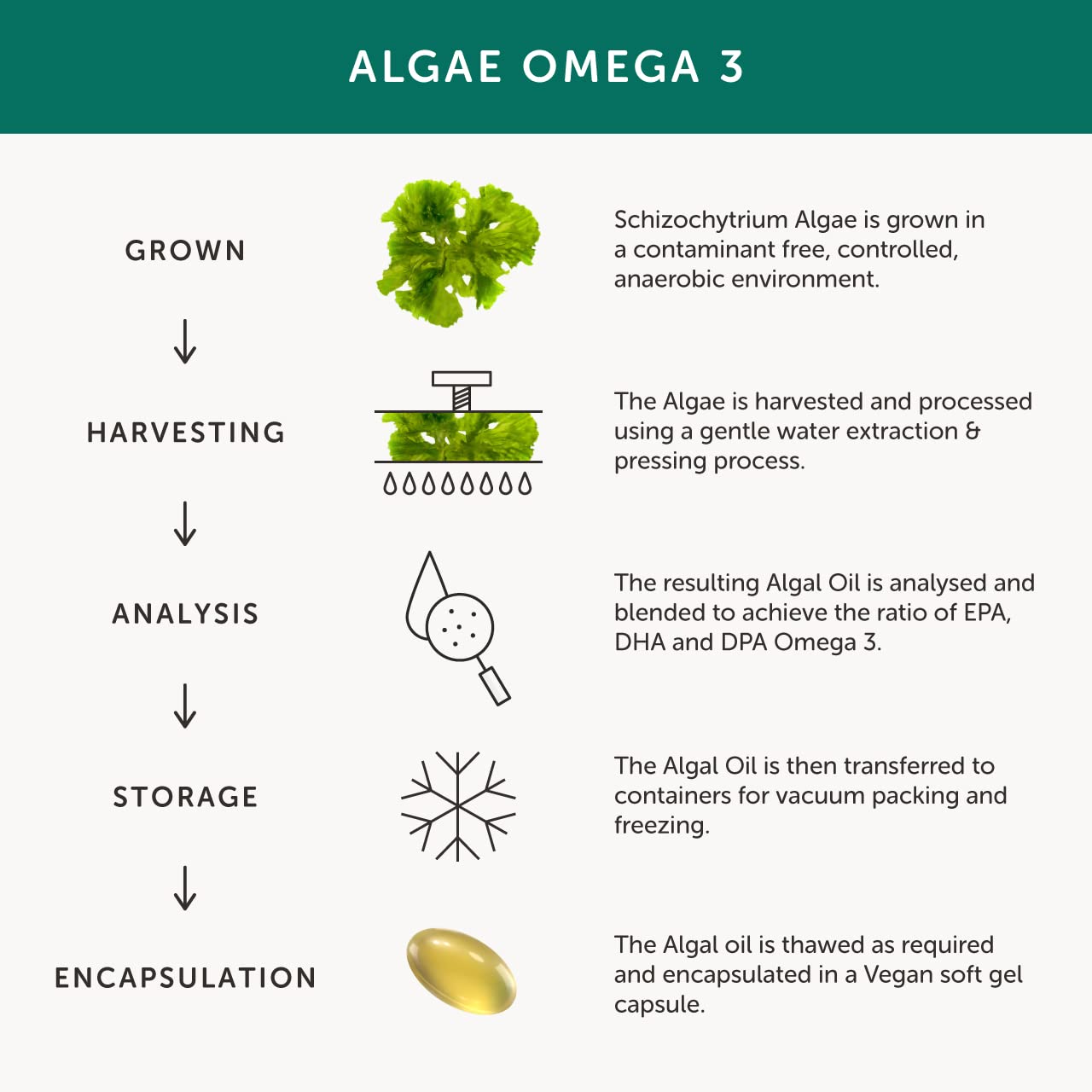 Algae Omega 3 – Together Health – Pure Algae Omega 3 – Unique Plant Source of DHA & EPA – Vegan Friendly - Made in The UK – Pack of 5-150 Softgels
