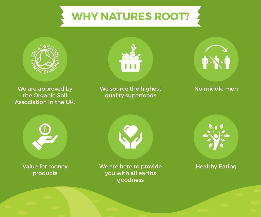 Premium Dong Quai Powder 125g by Natures Root