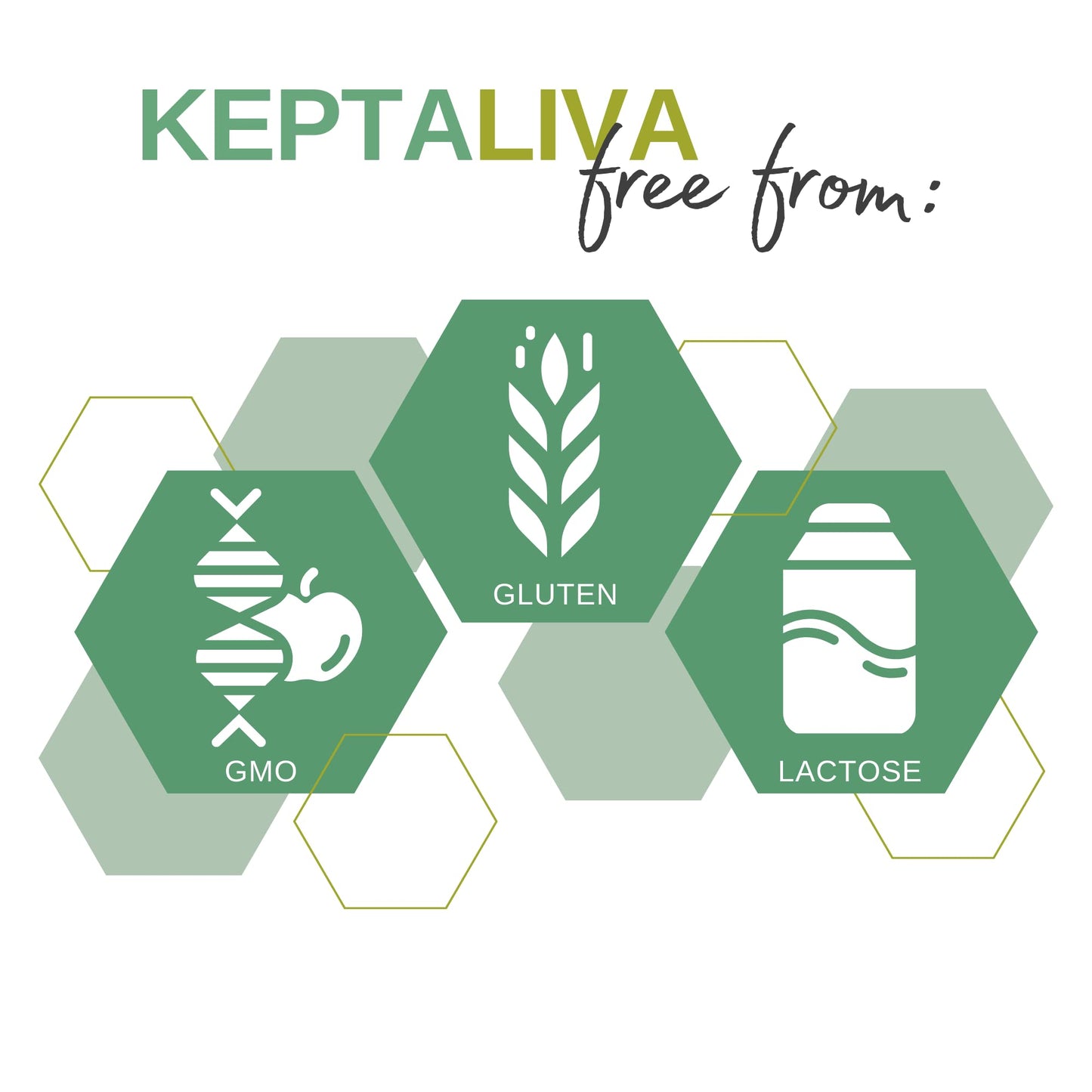 KEPTALIVA – Natural Liver Cleanse Detox & Repair, Gallbladder & Digestion Support, Milk Thistle (80 mg Silymarin), Artichoke, Schisandra, Andrographis, Black Radish, Bromelain, 1 Month Supply