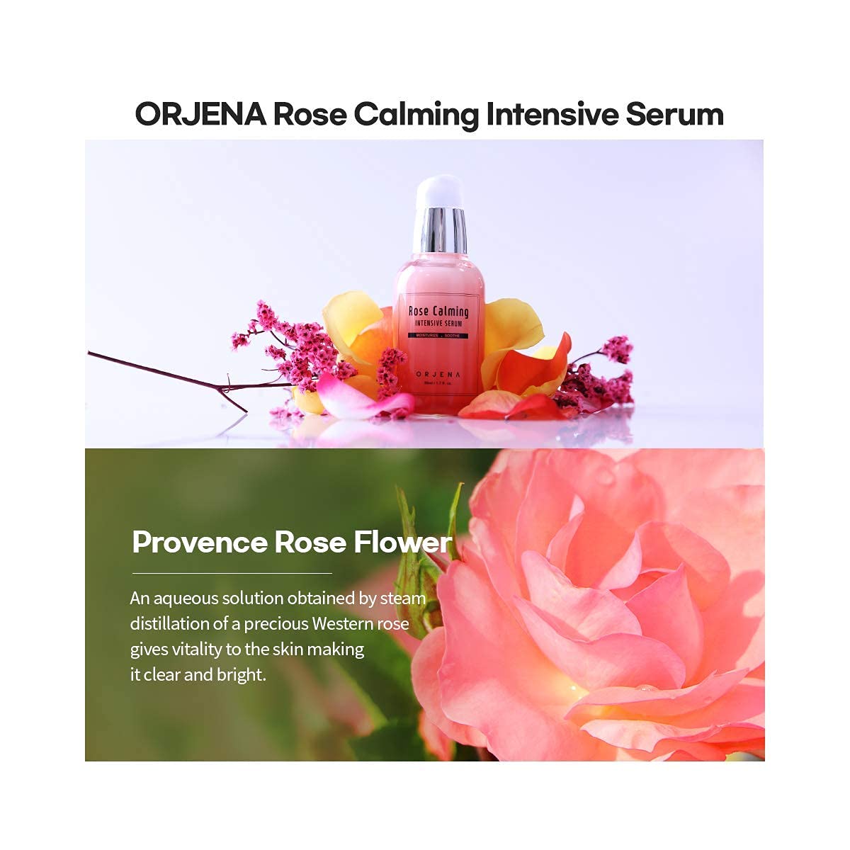 Orjena Rose Calming Intensive Serum - Moisturizing, Soothing, Calming - For All Skin Types, 50ml Net Wt