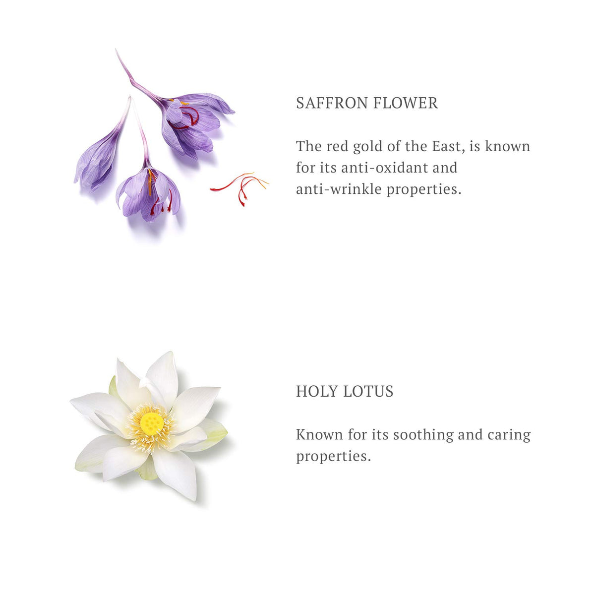 RITUALS The Ritual of Namasté First Essence Glow Collection, 150ml