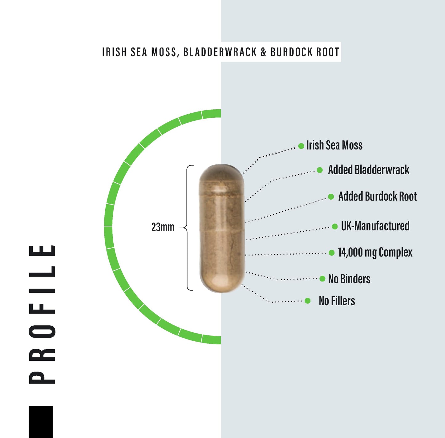 Sea Moss Complex 14,000mg Extract Including Bladderwrack & Burdock Root - 120 High Strength Capsules Providing 120 Day Supply - North Atlantic Irish Sea Moss Supplement - Vegan & UK Made