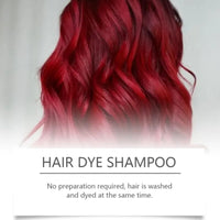 SingHao Polar Hair Dye Shampoo,3 in 1 Instant H/air D/ye Sha/mpoo,Ha/ir Care Instant Dy/e Sham/poo,Nova Hai/r D/ye Shampoo,Red Brown Ha/ir Dye,Permanent Gray H/air Coverage,Hai/r Color Sham/poo for Hair#Red