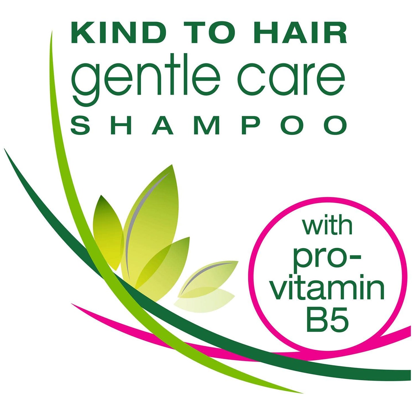 ACCANTIA HEALTH and BEAUTY Simple Gentle Care Shampoo