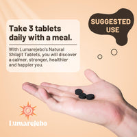 Lumarejebo Shilajit Tablets 30,000mg, 100% Pure Himalayan Shilajit Tablets (1000mg Per Serving), Rich in 85+ Trace Minerals & 60% Fulvic Acid, for Energy and Immune Support (120 Tablets)